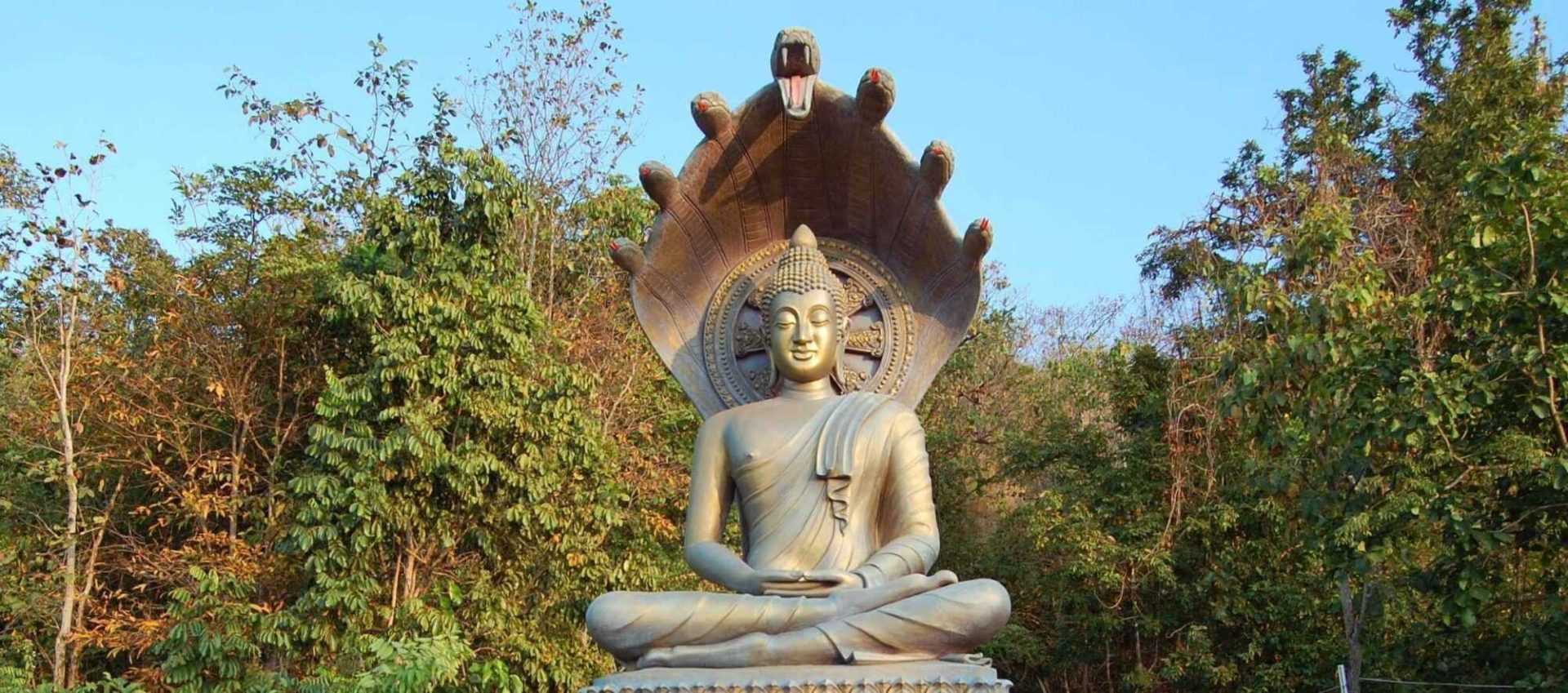 5 Mental Faculties of Buddhist Meditation