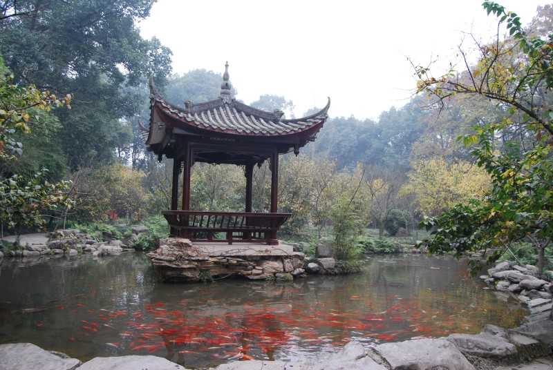 Koi pond, Leshan Buddha park